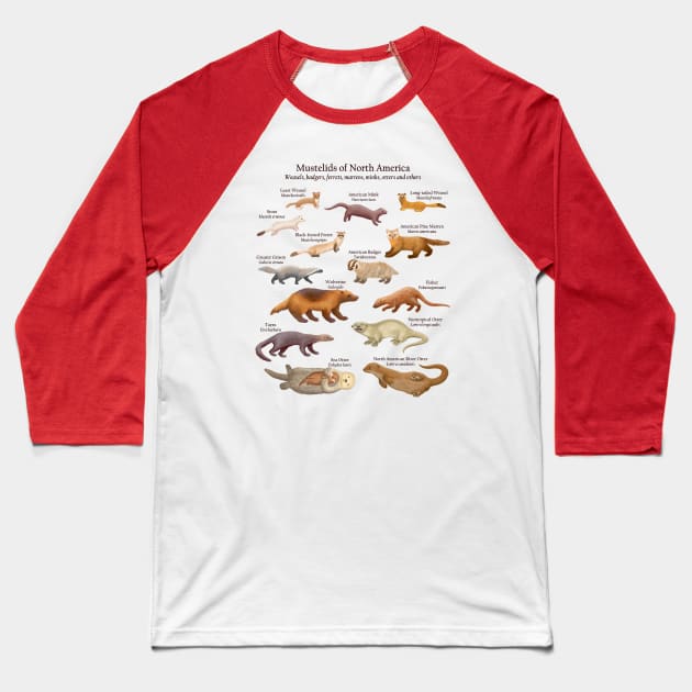 Mustelids of North America: Weasels, Otters, and Others (Light Background) Baseball T-Shirt by ELMayer